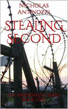 Stealing Second (The Amendments Book One 1) Read online