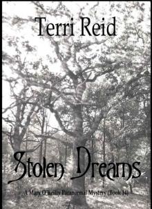 Stolen Dreams - A Mary O'Reilly Paranormal Mystery - Book Fourteen Read online