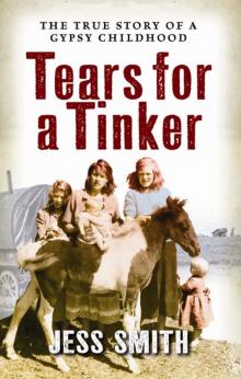 Tears for a Tinker Read online