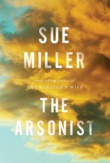 The Arsonist: A novel Read online