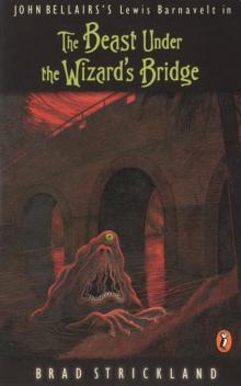 The Beast Under the Wizard's Bridge Read online