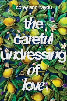 The Careful Undressing of Love Read online