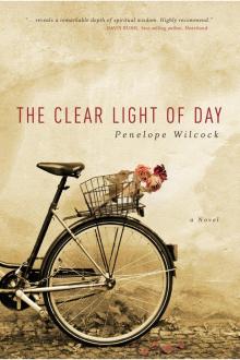 The Clear Light of Day Read online