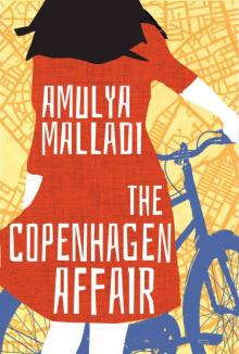 The Copenhagen Affair Read online