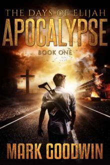 The Days of Elijah, Book One: Apocalypse: A Novel of the Great Tribulation in America Read online