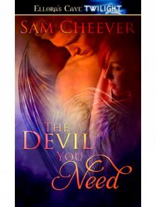 The Devil You Need Read online