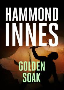 The Golden Soak Read online