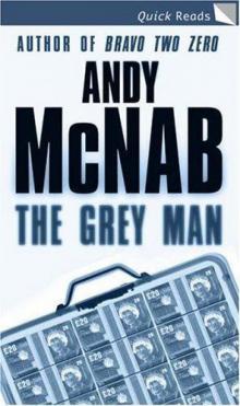The Grey Man (quick reads) Read online