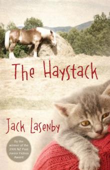 The Haystack Read online