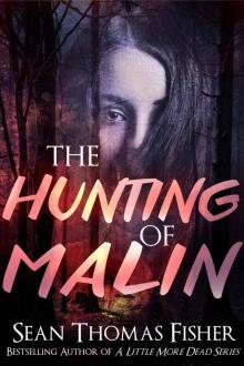 The Hunting of Malin Read online