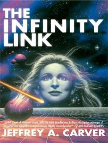 The Infinity Link Read online