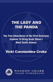 The Lady and the Panda Read online