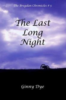 The Last, Long Night Read online