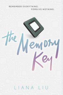 The Memory Key Read online