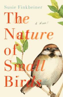 The Nature of Small Birds Read online