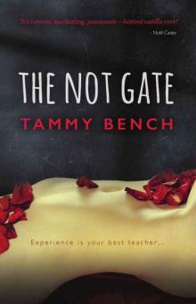 The Not Gate (Tom and Alice #1) Read online