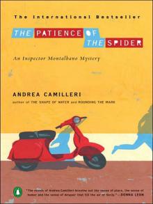 The Patience of the Spider Read online