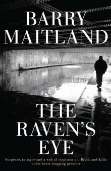 The Raven's Eye Read online