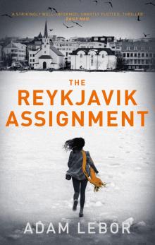 The Reykjavik Assignment Read online