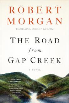 The Road From Gap Creek: A Novel Hardcover Read online