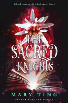 The Sacred Knights (Secret Knights Book 3) Read online