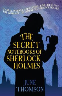 The Secret Notebooks of Sherlock Holmes Read online