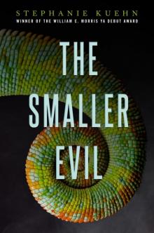 The Smaller Evil Read online