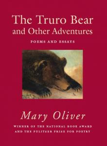 The Truro Bear and Other Adventures Read online