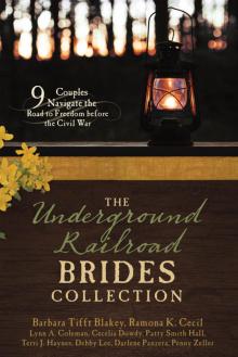 The Underground Railroad Brides Collection: 9 Couples Navigate the Road to Freedom Before the Civil War