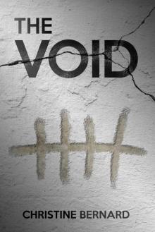 The Void Read online