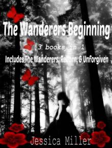 The Wanderers Beginning: The Wanderers, Reborn, & Unforgiven