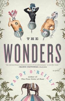 The Wonders Read online
