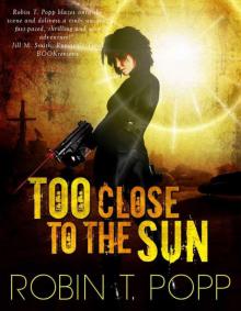 Too Close to the Sun (The Sun 1)