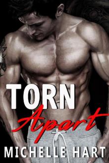 Torn Apart: A Standalone Romance