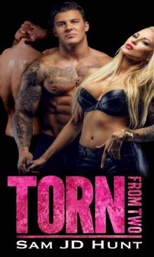 Torn from Two (Taken and Torn Book 2) Read online