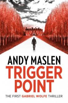 Trigger Point (The Gabriel Wolfe Thrillers Book 1)