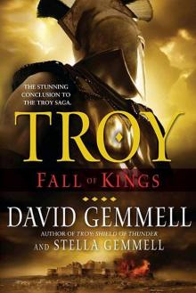 [Troy 03] - Fall of Kings Read online