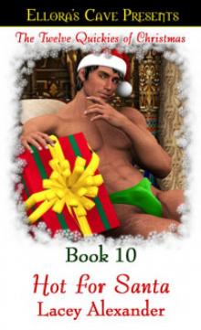 Twelve Quickies Of Christmas Book 10: Hot For Santa Read online