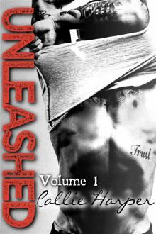 Unleashed: Volume 1 (Unleashed #1) Read online