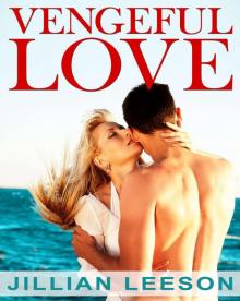 Vengeful Love: A Summer Love Story (contemporary romance) (Sizzling Summer Romance) Read online