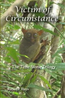 Victim of Circumstance (The Time Stone Trilogy Book 3) Read online