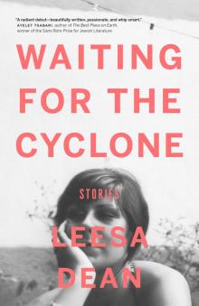 Waiting for the Cyclone Read online