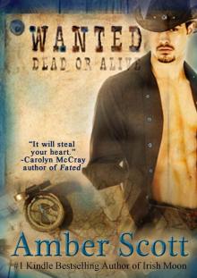 WANTED (A Transported Through Time book) Read online