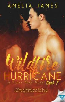 Wildfire Hurricane (A Ryder Boys Novel Book 1) Read online