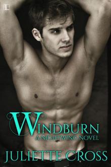 Windburn (Nightwing# 2) Read online
