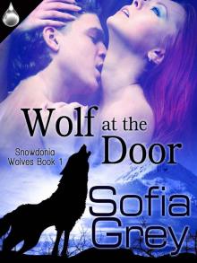 Wolf At the Door (Snowdonia Wolves, Book 1) Read online