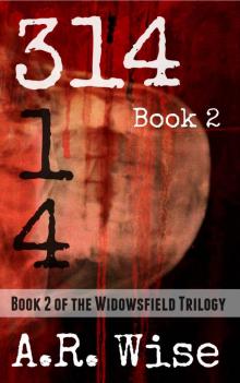 314 Book 2 (Widowsfield Trilogy) Read online