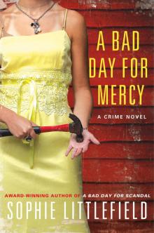 A Bad Day for Mercy Read online