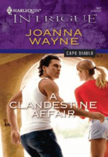 A Clandestine Affair Read online