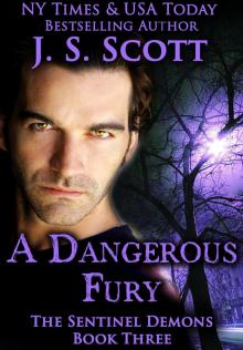 A Dangerous Fury (The Sentinel Demons Book 3) Read online